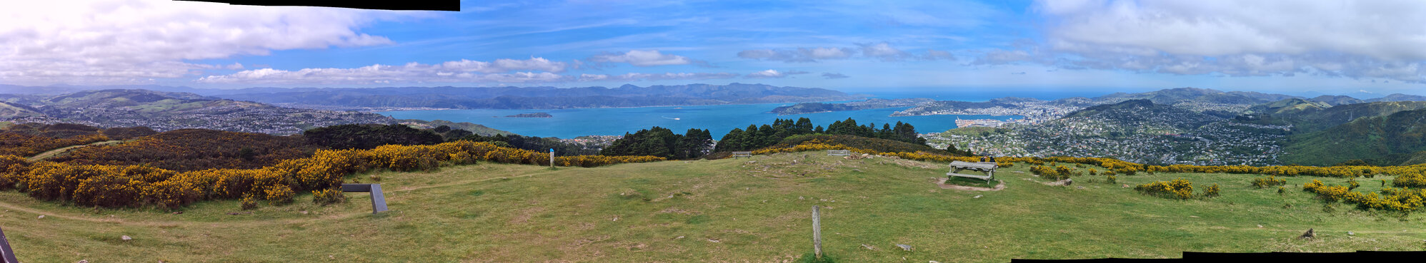 Wellington Gigapixel