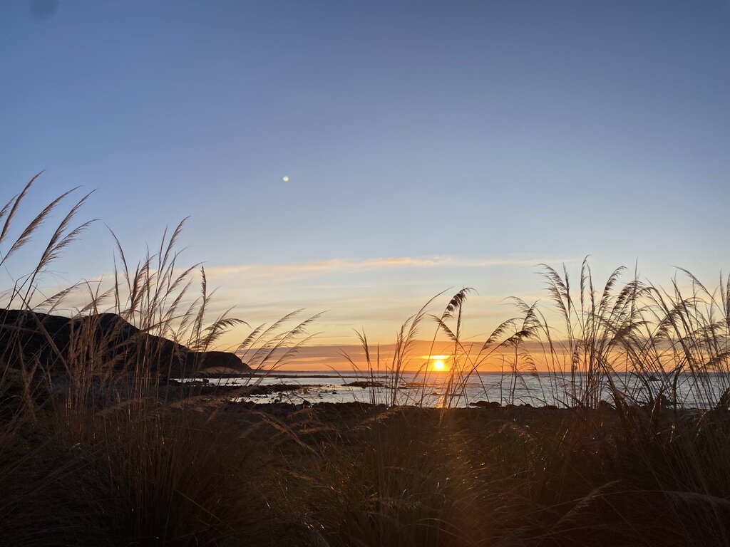 Kaikoura Coast 2023 