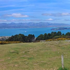 Wellington Gigapixel