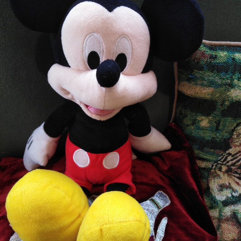 Micky Mouse
