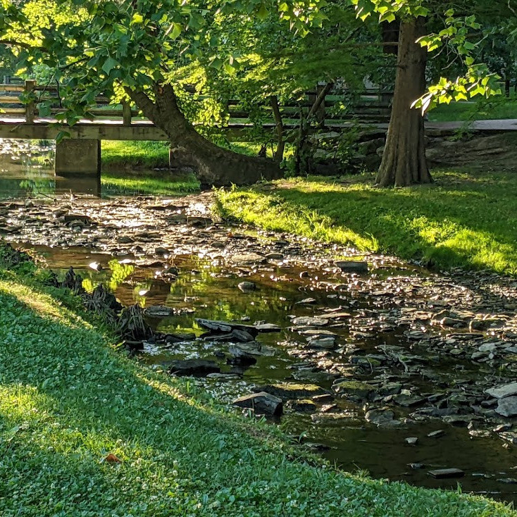 Dunn Meadow