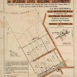 Housing development plan, 1923; Cluny Estate; Fergusson Drive, Whakatiki to Milton Streets